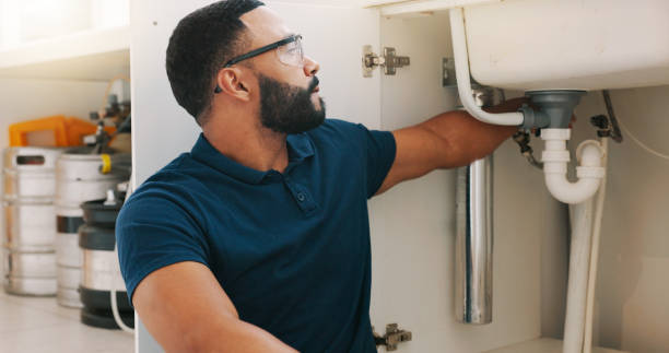 Best Plumbing System Maintenance  in Grosse Pointe Farms, MI