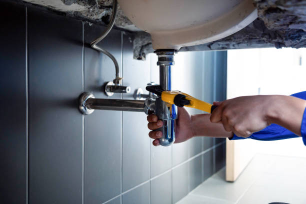 Best Residential Plumbing Services  in Grosse Pointe Farms, MI